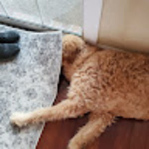 Meet your Posher, Anaxlol